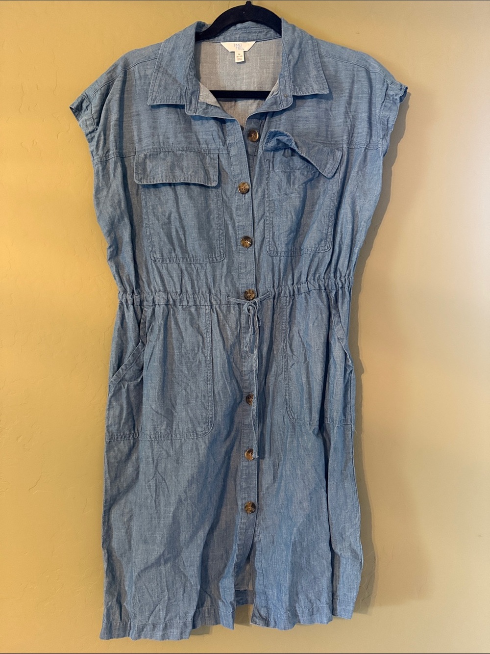 Time and Tru Light Blue Button-Front Shirt Dress